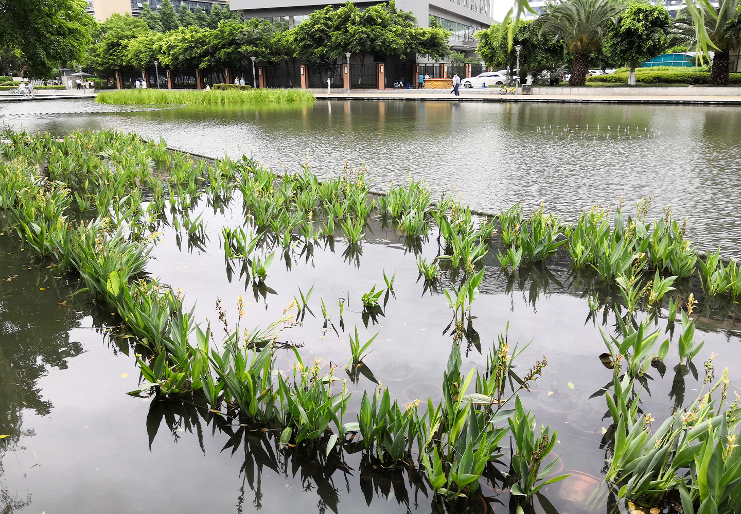 成都高新区孵化园景观水治理工程