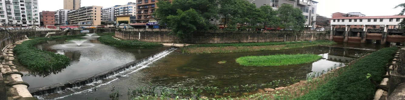 安岳县岳阳河水质提升治理及生态修复项目